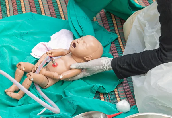 Doctor, paramedic,  The refresher training to assist childbirth newborn with medical baby dummy