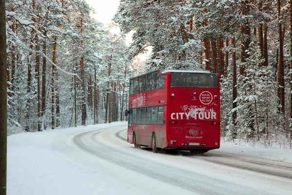 Bus in the woods