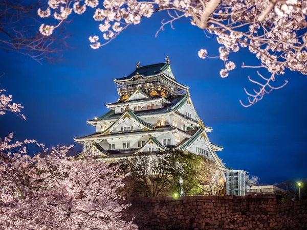 Osaka castle among cherry blossom trees (sakura) in the evening