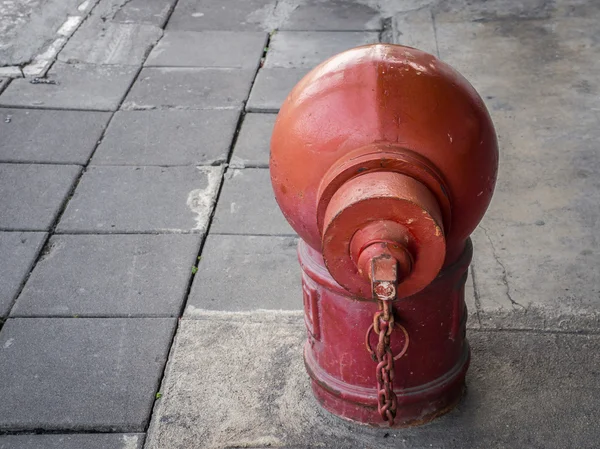 Fire hydrant / Fire connection department on footpath floor