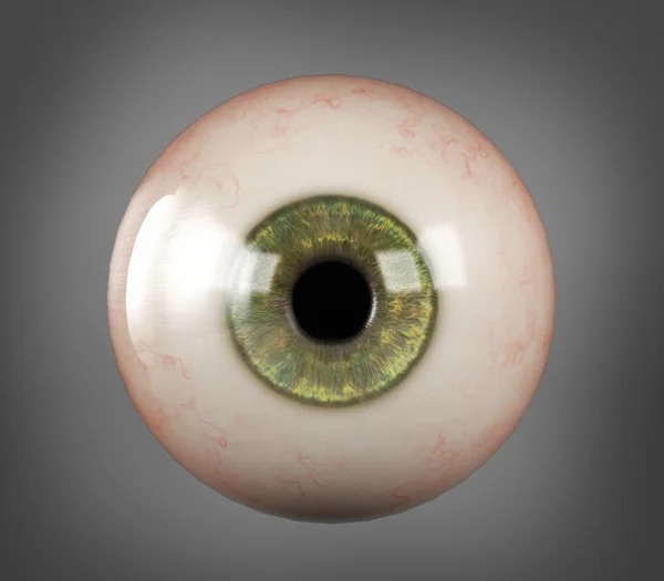 Realistic human eyeball green iris pupil