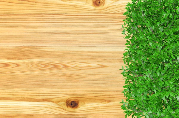 Wooden board covered with ornamental bush plants and copy space