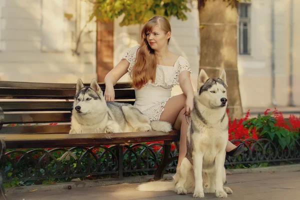 Lovely girl and her dogs in the city.