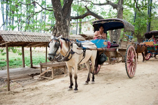 INWA,MYANMAR-MAY 2,2013 : Unidentified carriage of passengers and carrying supplies the local road runs along to a village onMAY 2,2013 in Inwa ancient city,Mandalay State in Middle of Myanmar.