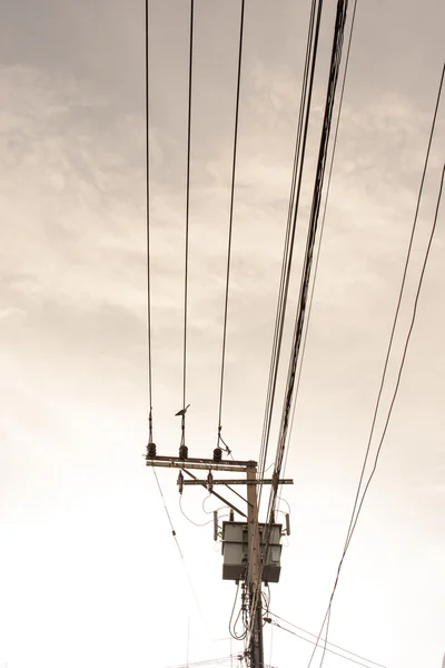 Electric pole connect to the high voltage electric