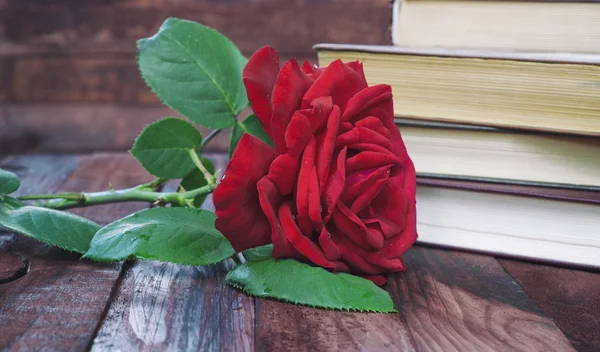 Red rose on a table on a background of the books