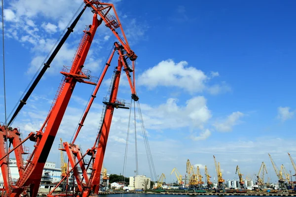 Red cranes in sea port.