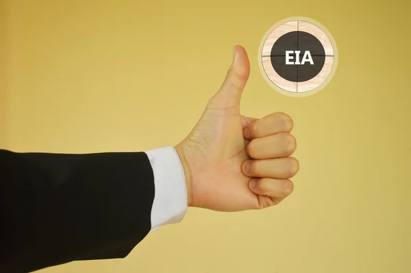 EIA or Environmental Impact Assessment- business concept