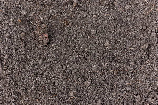 Brown Soil Texture