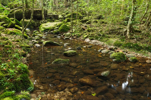 Waterfall in jungle