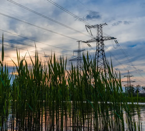 Power lines on coast of reeds at sunset, river.