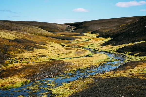 Landscape with moss in Iceland. Mountain tourism and volcanic area