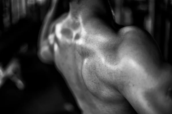 Man, muscle, Menzerna, gym, black and white photographs, strength, back muscles, chest, dumbbell, discus