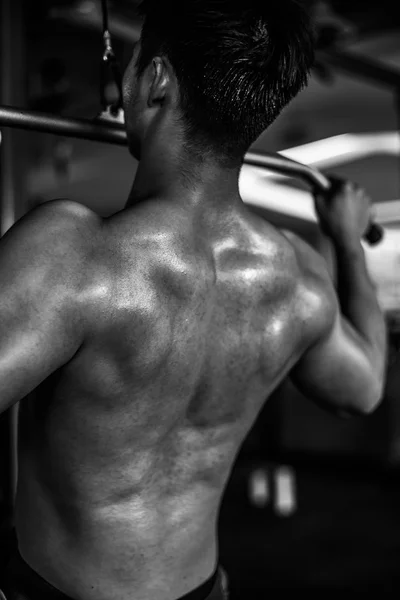 Man, muscle, Menzerna, gym, black and white photographs, strength, back muscles, chest, dumbbell, discus