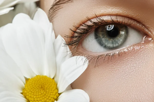Close-up macro of beautiful female eye with perfect shape eyebrows. Clean skin, fashion naturel make-up. Good vision. Spring natural look with chamomile flowers