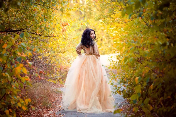 Beautiful girl in a luxurious dress walks in autumn park