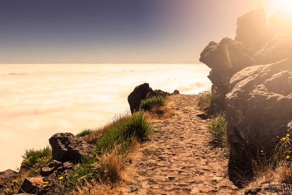 Landscape around Pico do Arieiro