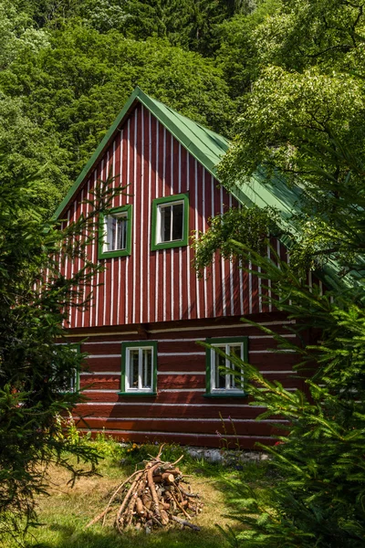 Beautiful house/cabin