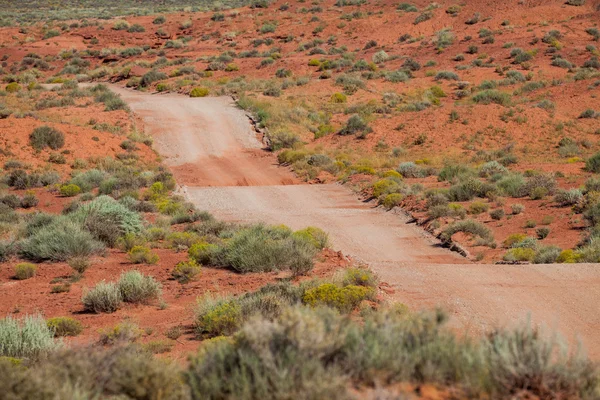 Valley of the Gods Road