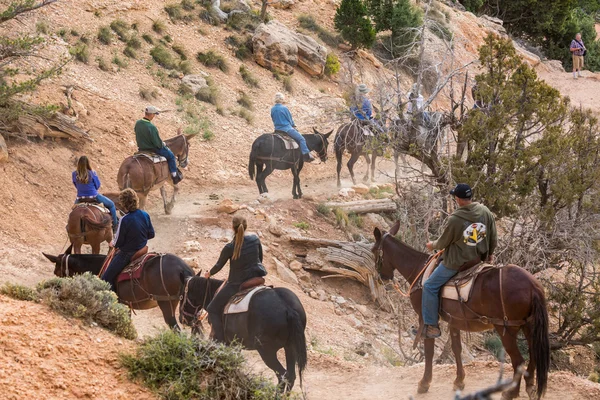 People riding on horses on the hiking trails in Bryce Canyon National Park