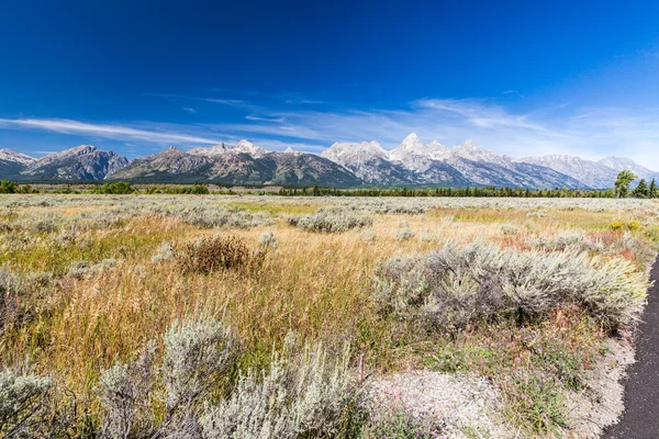 Views of the fields and mountains in Grand Teton National Park