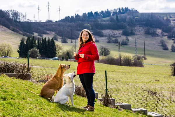 Young woman with pets in the garden, dog training in Slovakia