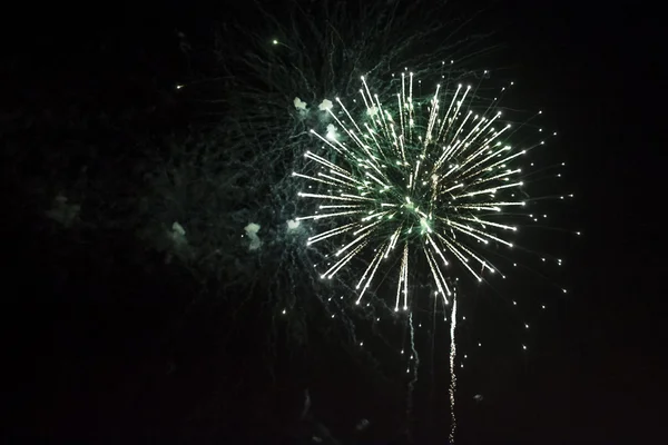 Dazzling fireworks lighting up in a clear dark night.
