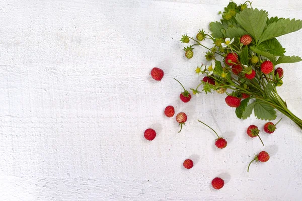 Bunch of ripe red wild strawberries