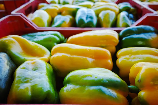 Fresh yellow paprika peppers in boxes in whole sale market