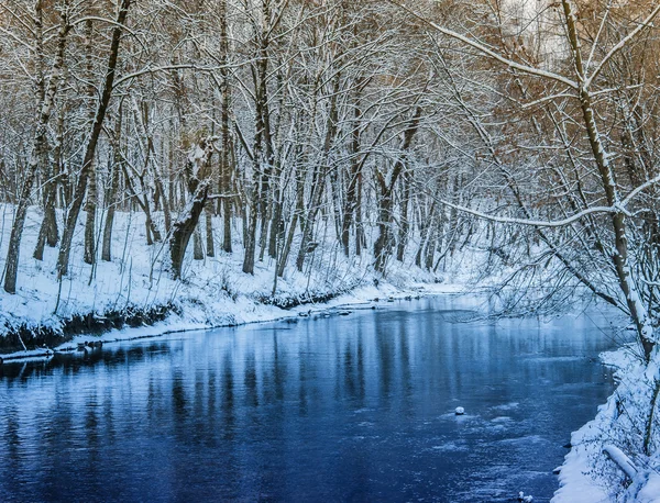 Snow-covered landscape in the city park. Ternopil, Ukraine.