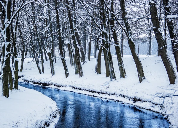 Snow-covered landscape in the city park. Ternopil, Ukraine.