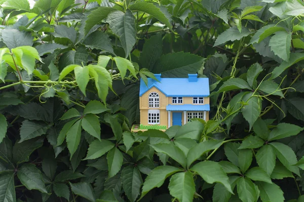 Ecological house and leafs