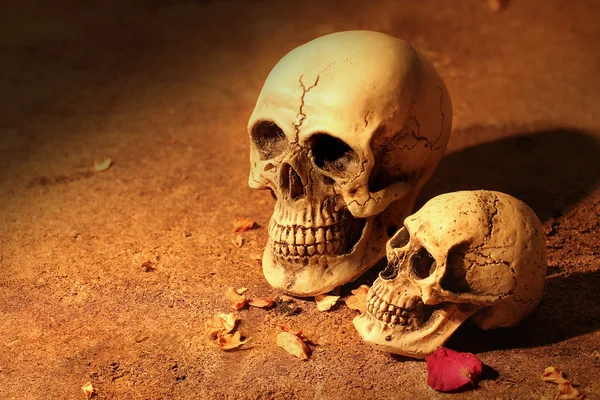 Human skull with candle and dry flowers on old wood background ; still-life