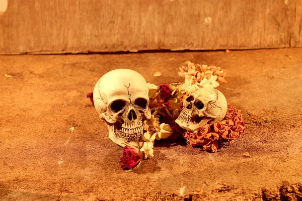 Human skull with candle and dry flowers on old wood background ; still-life