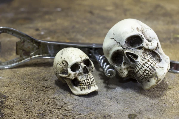 Skull human with Bottle Opener on wood table - still life