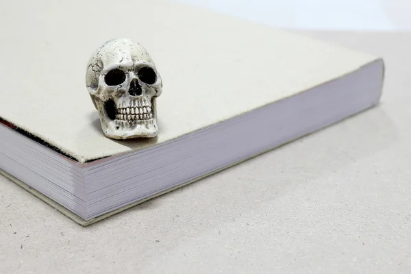 Still Life with a Skull and book on wooden table