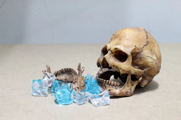 Decayed teeth human skull with candy on wood background. like a people eating candy too much.