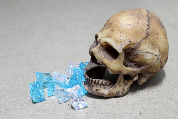 Decayed teeth human skull with candy on wood background. like a people eating candy too much.