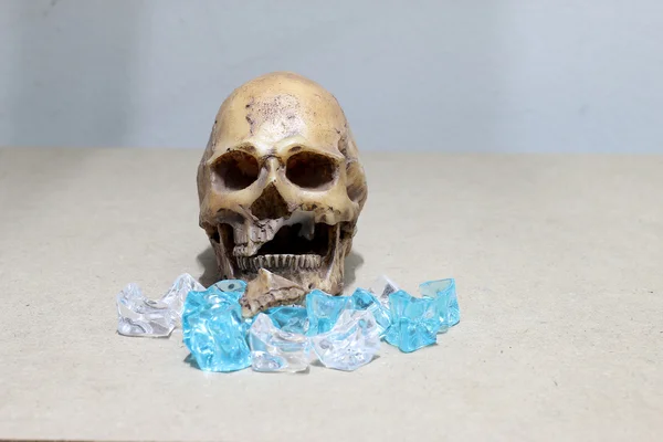 Decayed teeth human skull with candy on wood background. like a people eating candy too much.