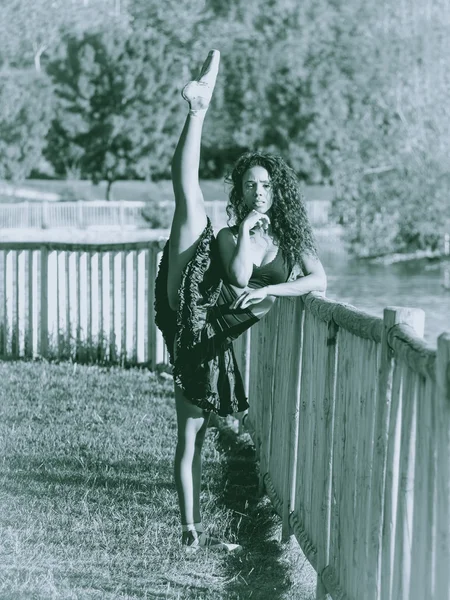 Latin dancer dancing in a park, Monochrome