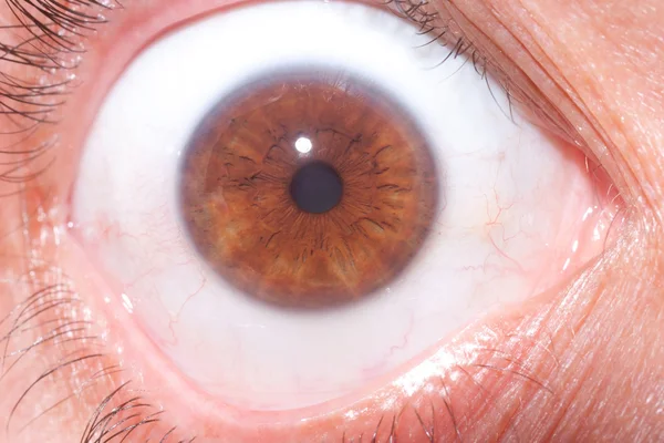 Close up on the iris of the eye