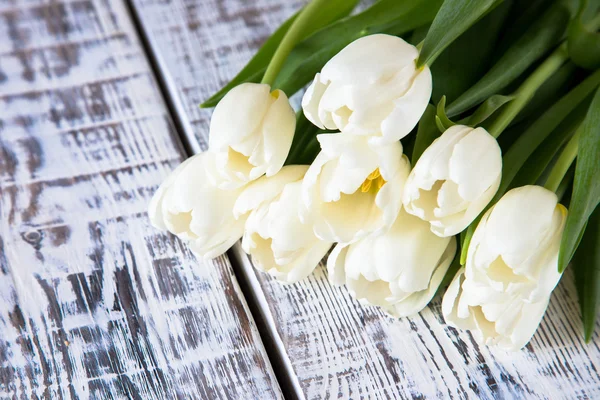 Fresh white tulips on light background. Selective focus