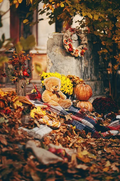 Book, teddy bear, autumn leaves and other beautiful autumn scenery