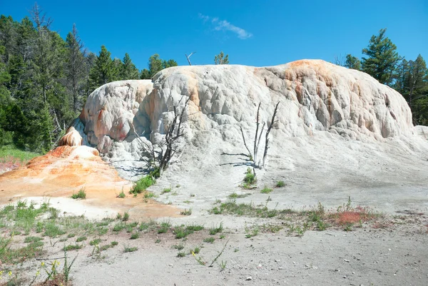 Orange Spring Mound Terrace Formation at Mammoth Hot Springs, Yellowstone National Park