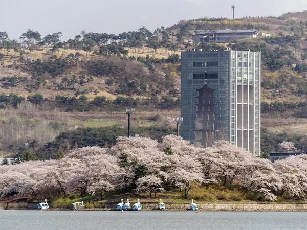 Take a trip to South Korea