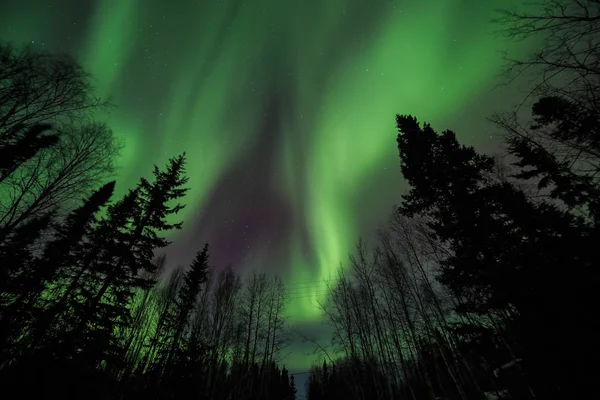 Aurora, night sky at alaska, fairbanks