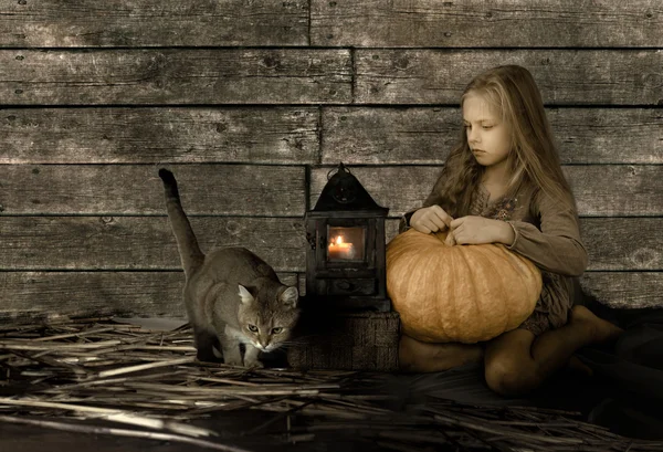 Vintage, children. retro style. Pretty blond girl with a big pumpkin and a British cat sitting on straw, and the garden Old Lantern