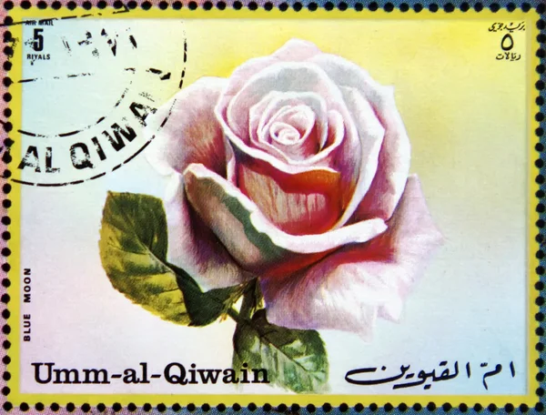 UMM AL-QUWAIN - CIRCA 1972: a stamp printed in the Umm al-Quwain shows Roses, Flowers, circa 1972