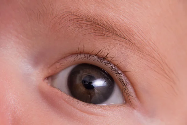 Macro close up of brown baby girl eye and eyebrow