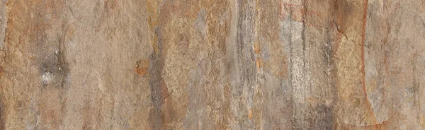 Neutral Marble  Slab High Resolution Image